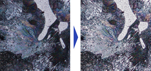 無論是暗視場(chǎng)影像還是DIC影像,“HDR”都可以一鍵完成清晰觀察。